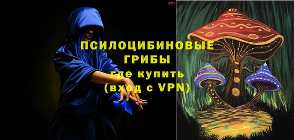 a pvp Карпинск